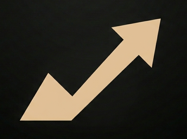 Barelytics Logo